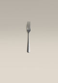 polished-steel