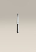 polished-steel